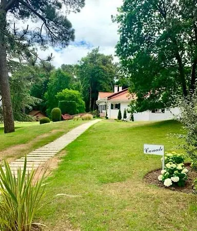 Bons Baisers Du Touquet - Caracole Guest house Le Touquet